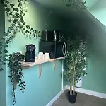 Jungle - Sauna Et Relaxation