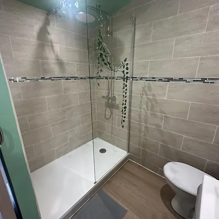 Jungle # Sauna Et Relaxation Appartement