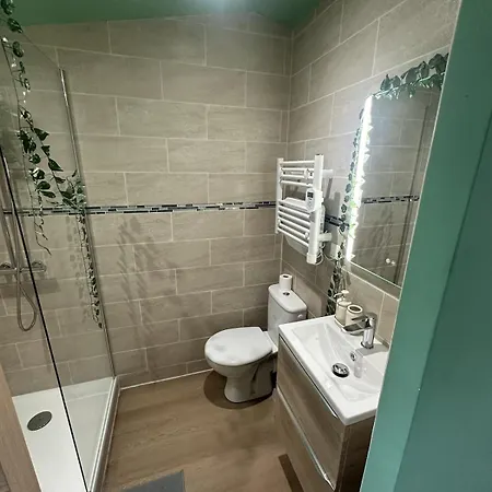 Jungle # Sauna Et Relaxation Appartement