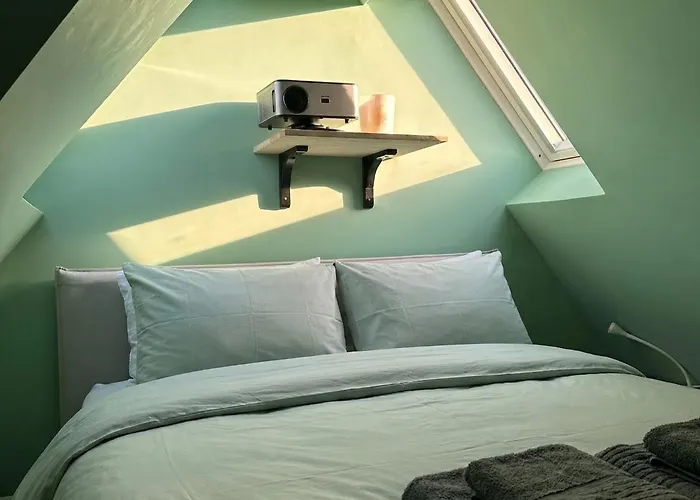 Jungle # Sauna Et Relaxation