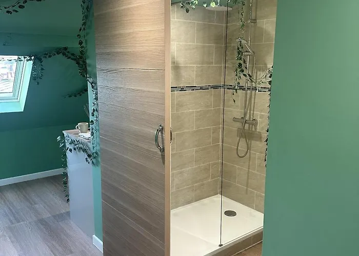 Jungle # Sauna Et Relaxation Appartement Arras