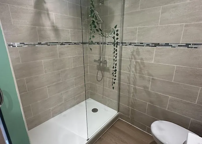 Jungle # Sauna Et Relaxation Appartement
