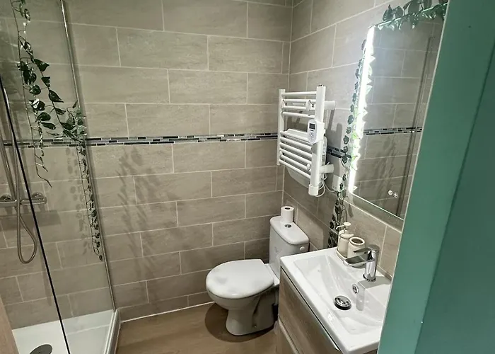 Jungle # Sauna Et Relaxation Appartement