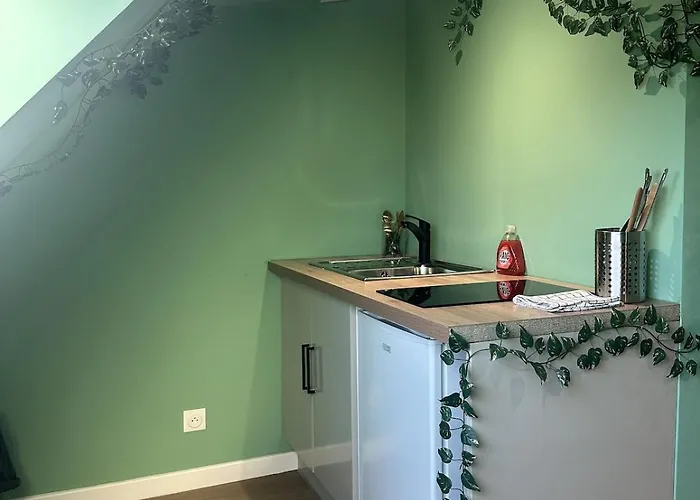 Appartement Jungle # Sauna Et Relaxation Arras