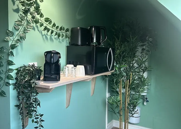 Jungle # Sauna Et Relaxation